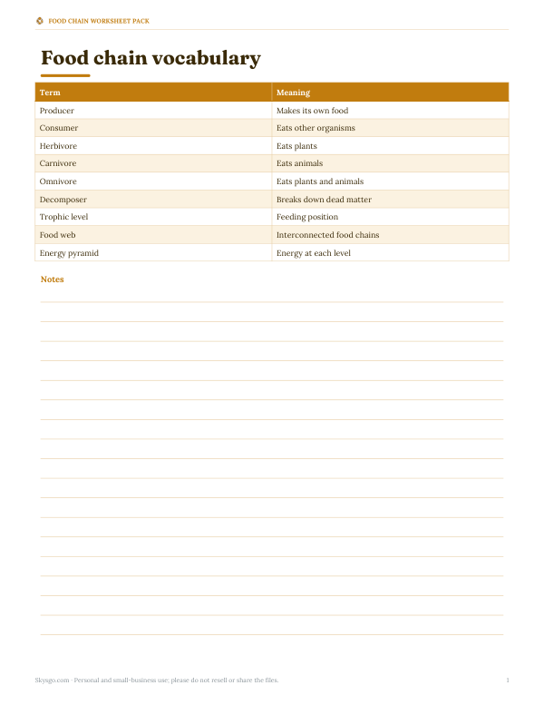 Preview of Printable Food Chain Vocabulary Card